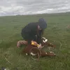 manusinhadocavalo