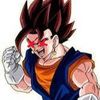 ripvegito2