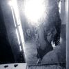 valeriaadamsgo0tz