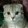 milk_a45o