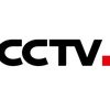 infotaicung.com