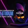 platinumsistem.es