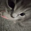 _risha_38
