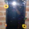 anderson_1439