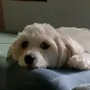 burgosnicole02