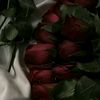 suwayda97