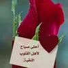 amira.arabe.6623984550
