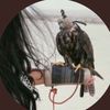 nourbasam6
