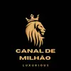 canaldemilhaao