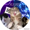 alan_sigma8