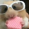 ariana.secret.account.xo