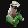 sombrero_pug