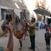 mohamed.belghazi97