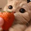ilov.strawb3rry