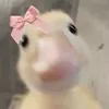 brooke.duck123