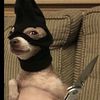 le.gars.bizarree