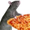 the.pizza.rat