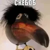 clocktitangames