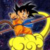 beggining.saiyajin