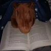 natalia.books.read