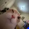oport_s