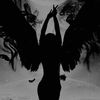 1z_angel_z1