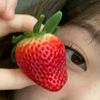 rara_bubbleas