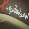 elhawary316