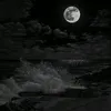 mhmdshahr