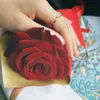 saida1_bou