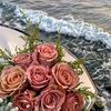 aisha.samir19