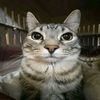 omar_mtz72