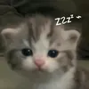 valeeyace