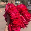user085951228