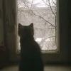 ⋆˚࿔ᵇᵃⁿᵏ˚⋆