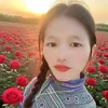 dehongdehong8