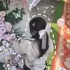 soc_1302