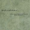 fatima.saad33