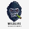 Wild Discovery 🦅