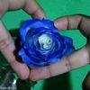 marcos.adrin47