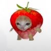 axelberrys