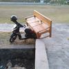 sarwono9460