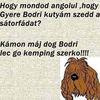 user.197661