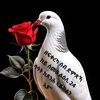 henoke.tadese