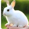 shuhel.ahmed645