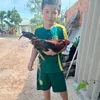 anh.huy225