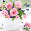 user2816076131136