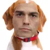 mierdota19