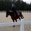 amela__konne
