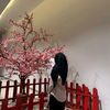 niya_yaa
